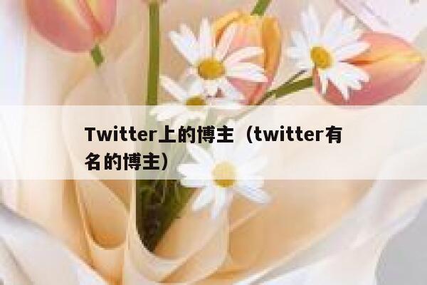 Twitter上的博主（twitter有名的博主） 第1张