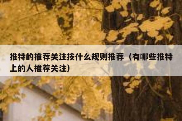 推特的推荐关注按什么规则推荐（有哪些推特上的人推荐关注） 第1张