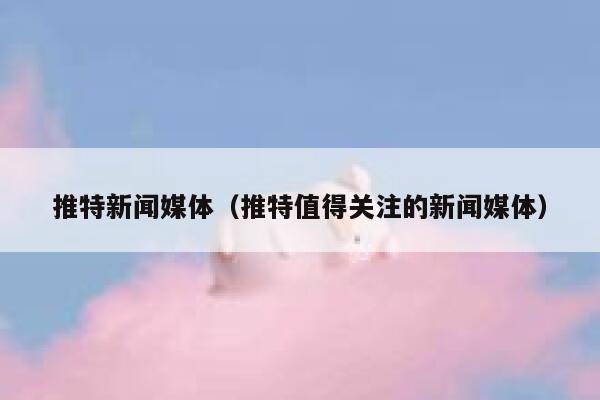 推特新闻媒体（推特值得关注的新闻媒体） 第1张