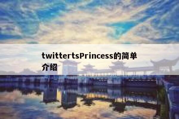 twittertsPrincess的简单介绍 第1张