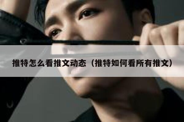 推特怎么看推文动态（推特如何看所有推文） 第1张