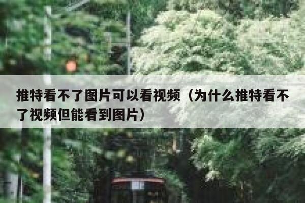 推特看不了图片可以看视频（为什么推特看不了视频但能看到图片） 第1张
