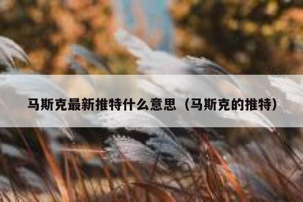 马斯克最新推特什么意思（马斯克的推特） 第1张
