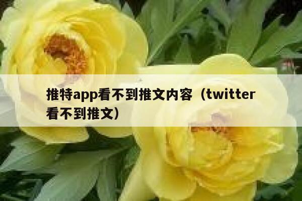 推特app看不到推文内容（twitter看不到推文） 第1张