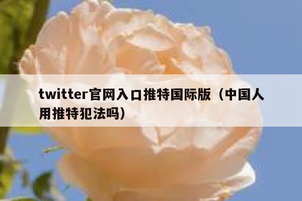 twitter官网入口推特国际版（中国人用推特犯法吗） 第1张