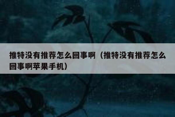 推特没有推荐怎么回事啊（推特没有推荐怎么回事啊苹果手机） 第1张
