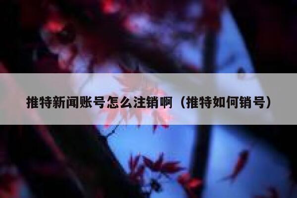 推特新闻账号怎么注销啊（推特如何销号） 第1张