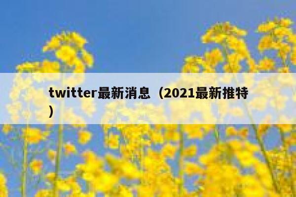 twitter最新消息（2021最新推特） 第1张