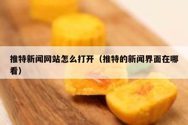 推特新闻网站怎么打开（推特的新闻界面在哪看） 第1张