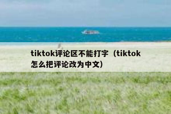 tiktok评论区不能打字（tiktok怎么把评论改为中文） 第1张