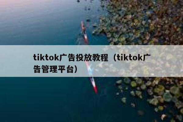 tiktok广告投放教程（tiktok广告管理平台） 第1张