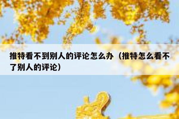 推特看不到别人的评论怎么办（推特怎么看不了别人的评论） 第1张