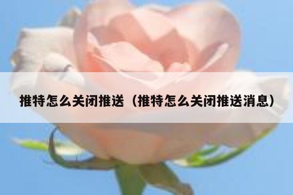 推特怎么关闭推送（推特怎么关闭推送消息） 第1张