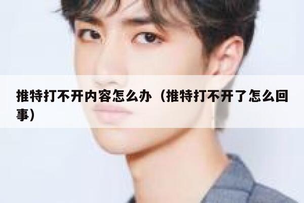 推特打不开内容怎么办（推特打不开了怎么回事） 第1张