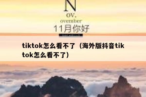 tiktok怎么看不了（海外版抖音tiktok怎么看不了） 第1张