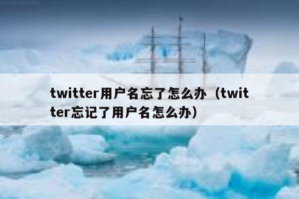 twitter用户名忘了怎么办（twitter忘记了用户名怎么办） 第1张
