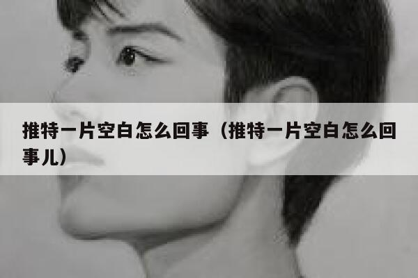 推特一片空白怎么回事（推特一片空白怎么回事儿） 第1张