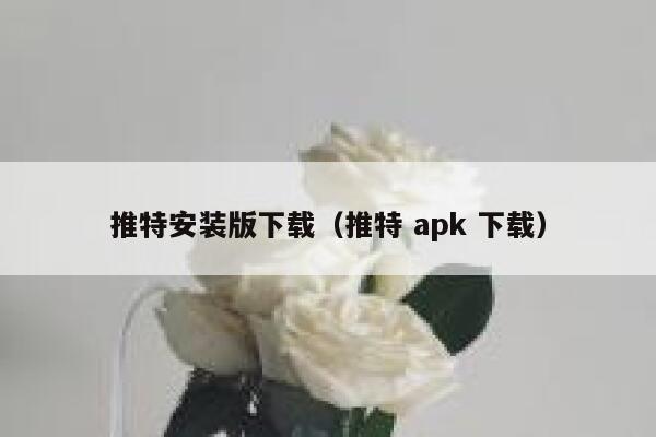 推特安装版下载（推特 apk 下载） 第1张