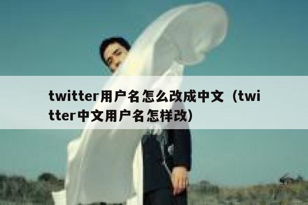 twitter用户名怎么改成中文（twitter中文用户名怎样改） 第1张
