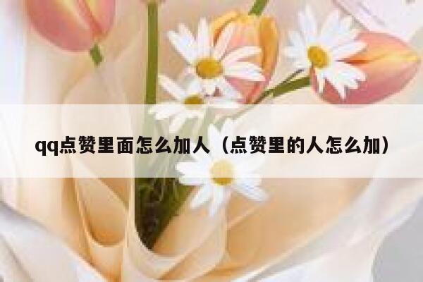 qq点赞里面怎么加人（点赞里的人怎么加） 第1张
