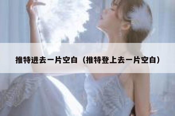 推特进去一片空白（推特登上去一片空白） 第1张