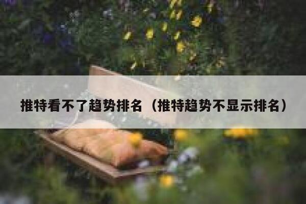 推特看不了趋势排名（推特趋势不显示排名） 第1张