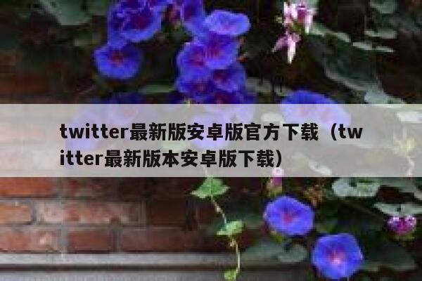 twitter最新版安卓版官方下载（twitter最新版本安卓版下载） 第1张
