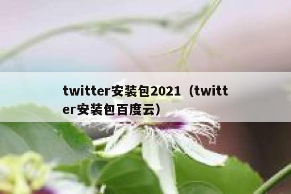 twitter安装包2021（twitter安装包百度云） 第1张