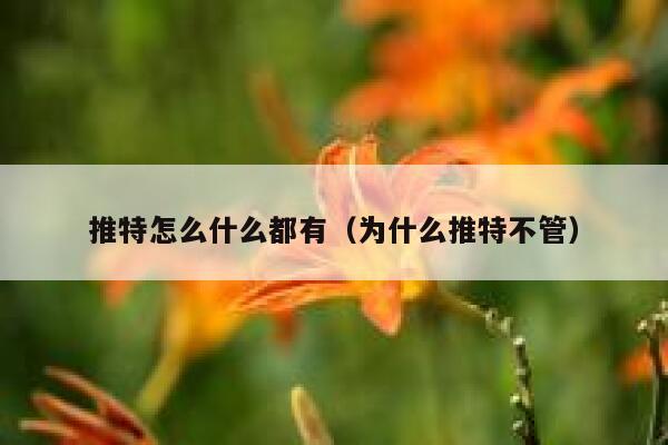 推特怎么什么都有（为什么推特不管） 第1张
