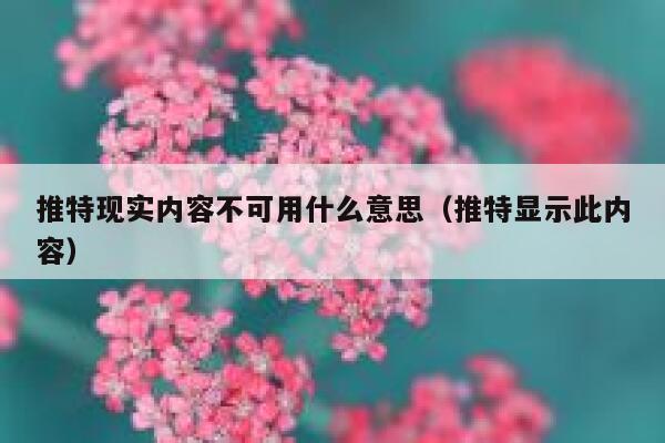 推特现实内容不可用什么意思（推特显示此内容） 第1张