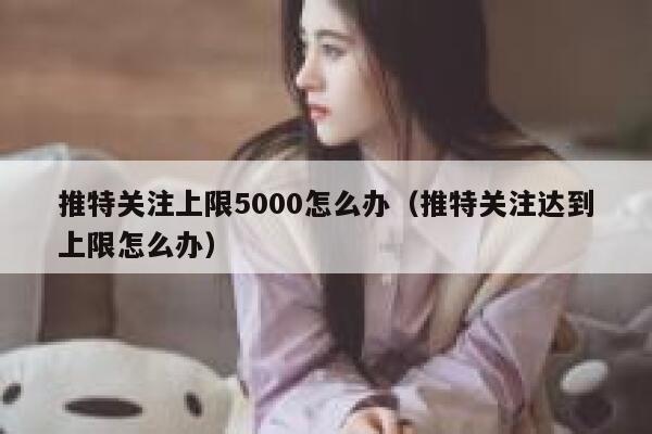 推特关注上限5000怎么办（推特关注达到上限怎么办） 第1张