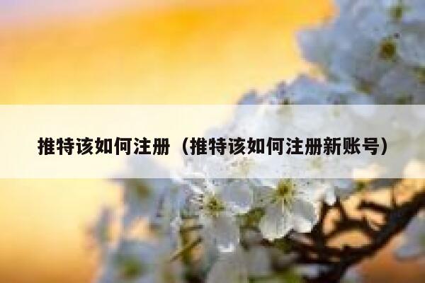 推特该如何注册（推特该如何注册新账号） 第1张