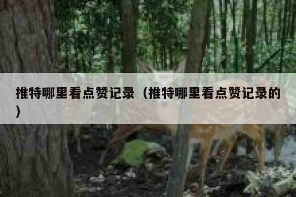 推特哪里看点赞记录（推特哪里看点赞记录的） 第1张