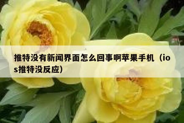 推特没有新闻界面怎么回事啊苹果手机（ios推特没反应） 第1张