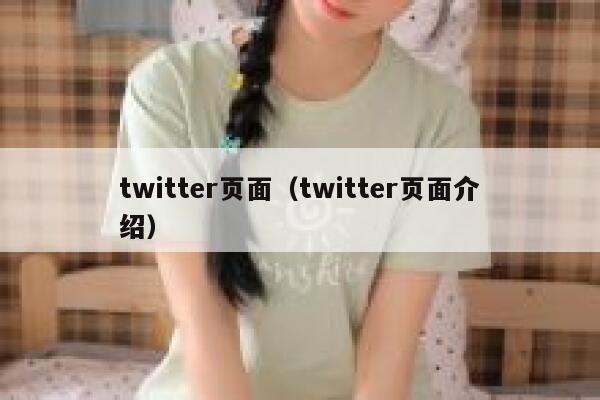 twitter页面（twitter页面介绍） 第1张
