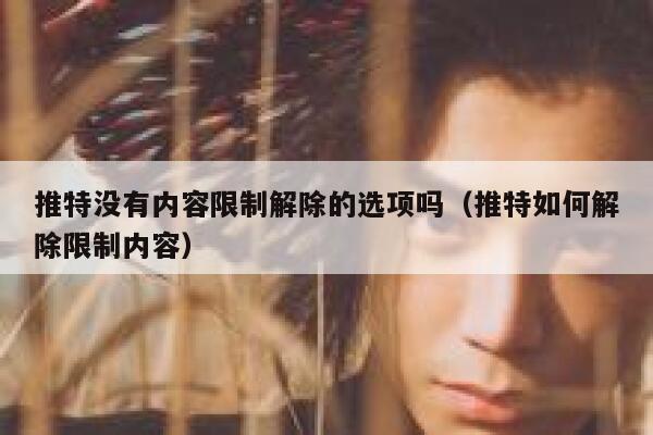 推特没有内容限制解除的选项吗（推特如何解除限制内容） 第1张