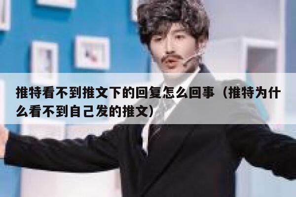 推特看不到推文下的回复怎么回事（推特为什么看不到自己发的推文） 第1张