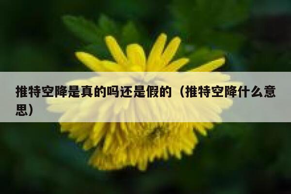 推特空降是真的吗还是假的（推特空降什么意思） 第1张