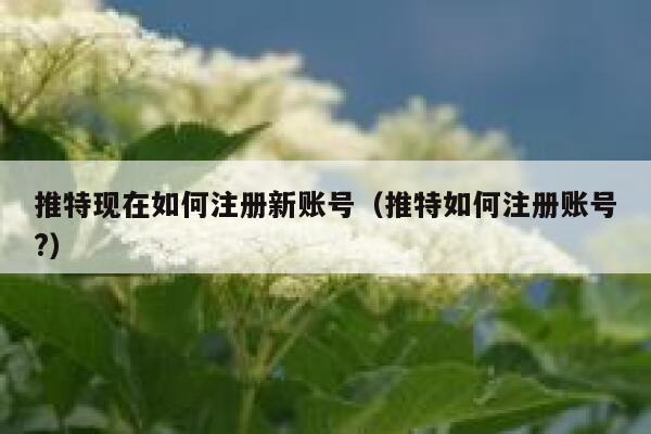 推特现在如何注册新账号（推特如何注册账号?） 第1张