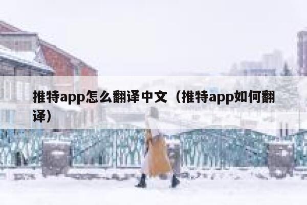 推特app怎么翻译中文（推特app如何翻译） 第1张