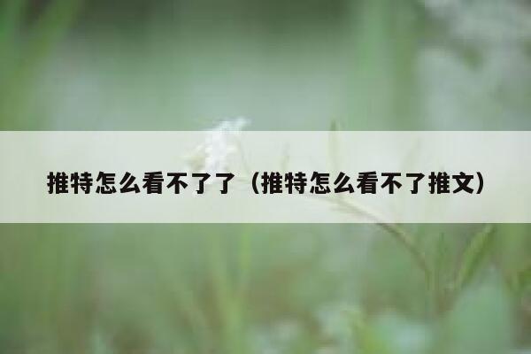 推特怎么看不了了（推特怎么看不了推文） 第1张