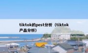 tiktok的pest分析（tiktok产品分析）