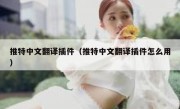 推特中文翻译插件（推特中文翻译插件怎么用）