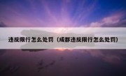 违反限行怎么处罚（成都违反限行怎么处罚）