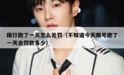 限行跑了一天怎么处罚（不知道今天限号跑了一天会罚款多少）