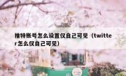 推特账号怎么设置仅自己可见（twitter怎么仅自己可见）
