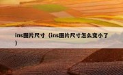 ins图片尺寸（ins图片尺寸怎么变小了）