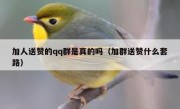 加人送赞的qq群是真的吗（加群送赞什么套路）