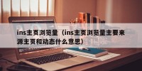 ins主页浏览量（ins主页浏览量主要来源主页和动态什么意思）
