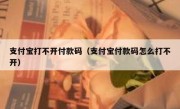 支付宝打不开付款码（支付宝付款码怎么打不开）
